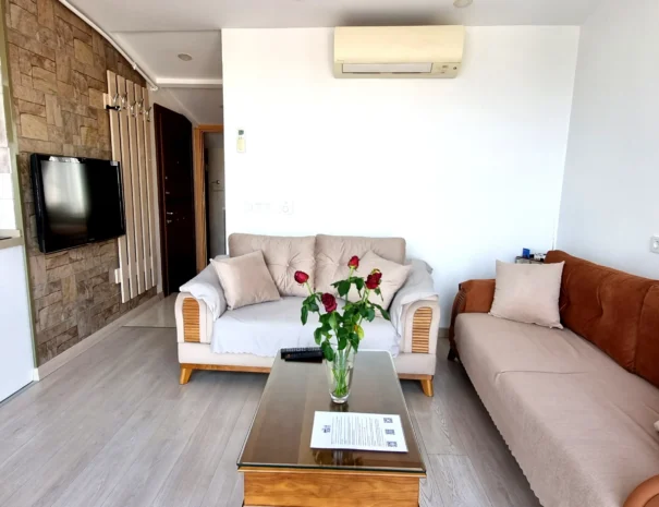 bosphorus_view_apartment_livingroom