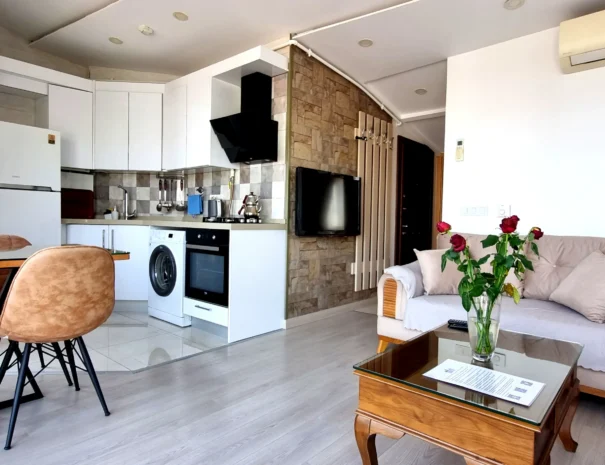 bosphorus_view_apartment_livingroom_2