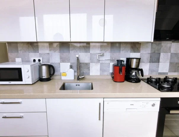 deluxe_apartment_kitchen